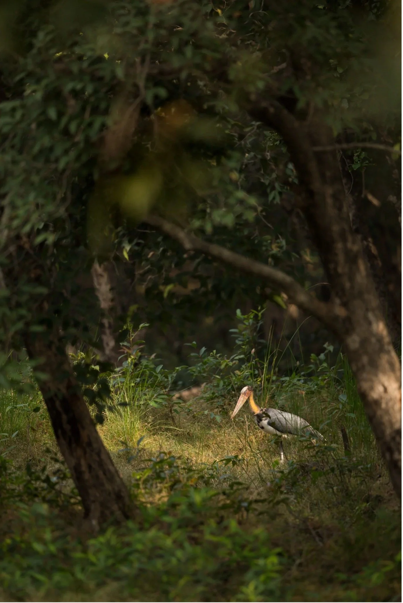 Moving from Clicking to Capturing and Creating images.