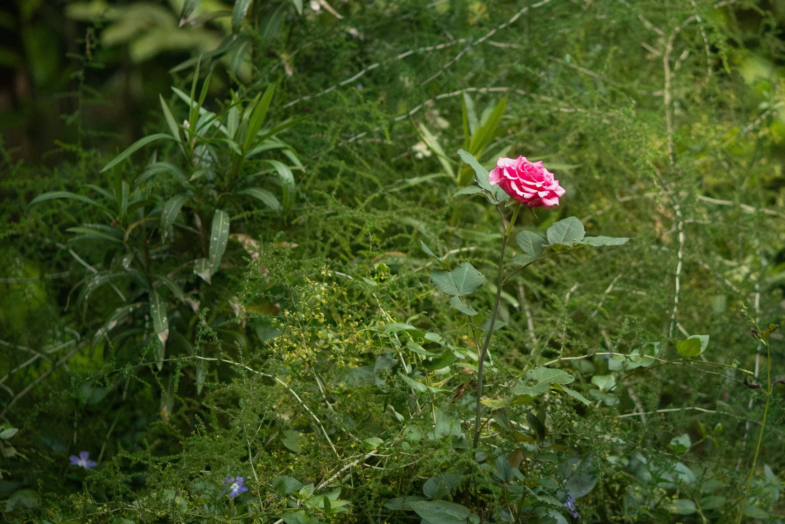 133/365 (13/05)