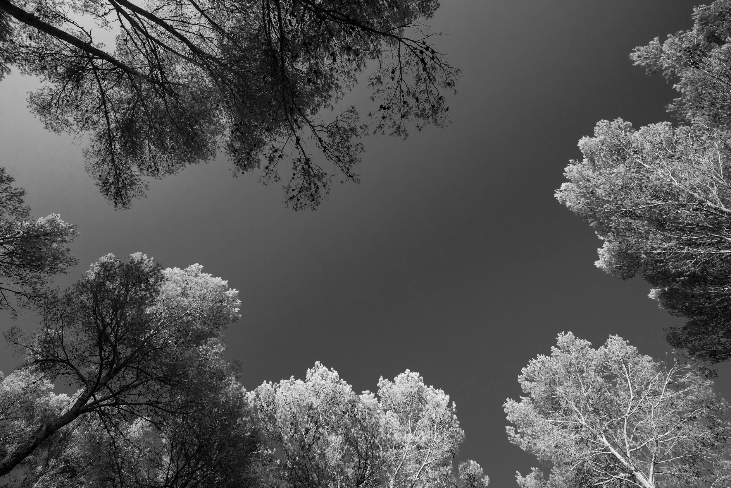 260801_5D4_4683.jpg