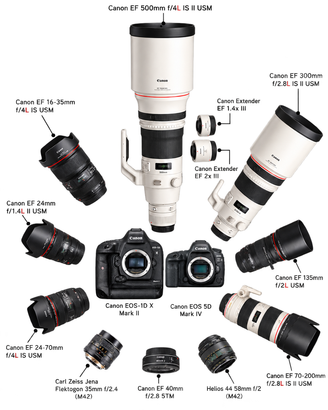 Collection of Canon camera equipment, including two DSLR cameras, multiple lenses, telephoto lenses, macro lenses, camera bodies, and teleconverters, arranged around the central camera body.