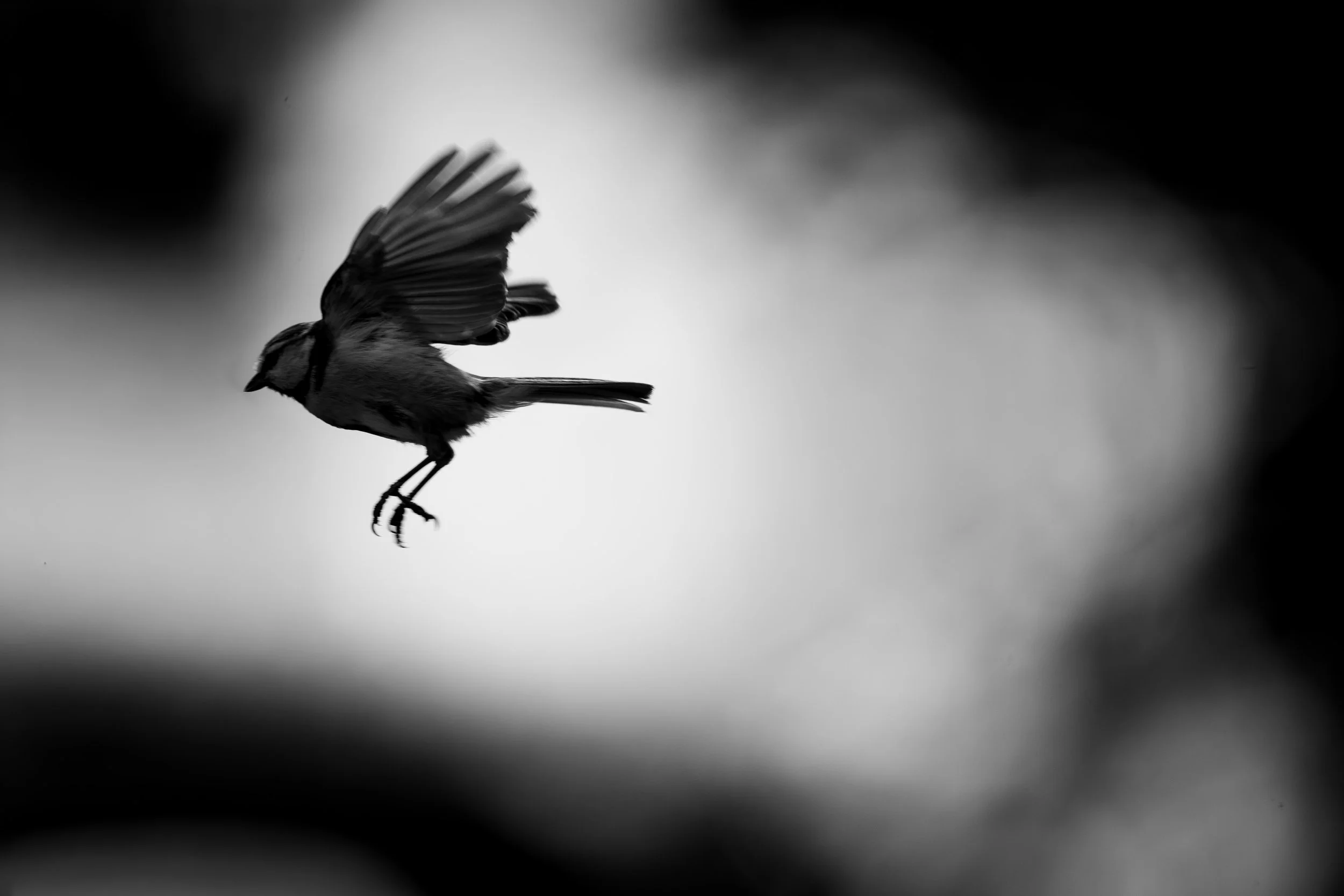 122/365 (02/05)
