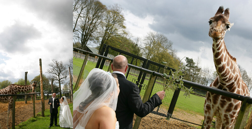 Wedding Photography Whipsnade Zoo (1).jpg