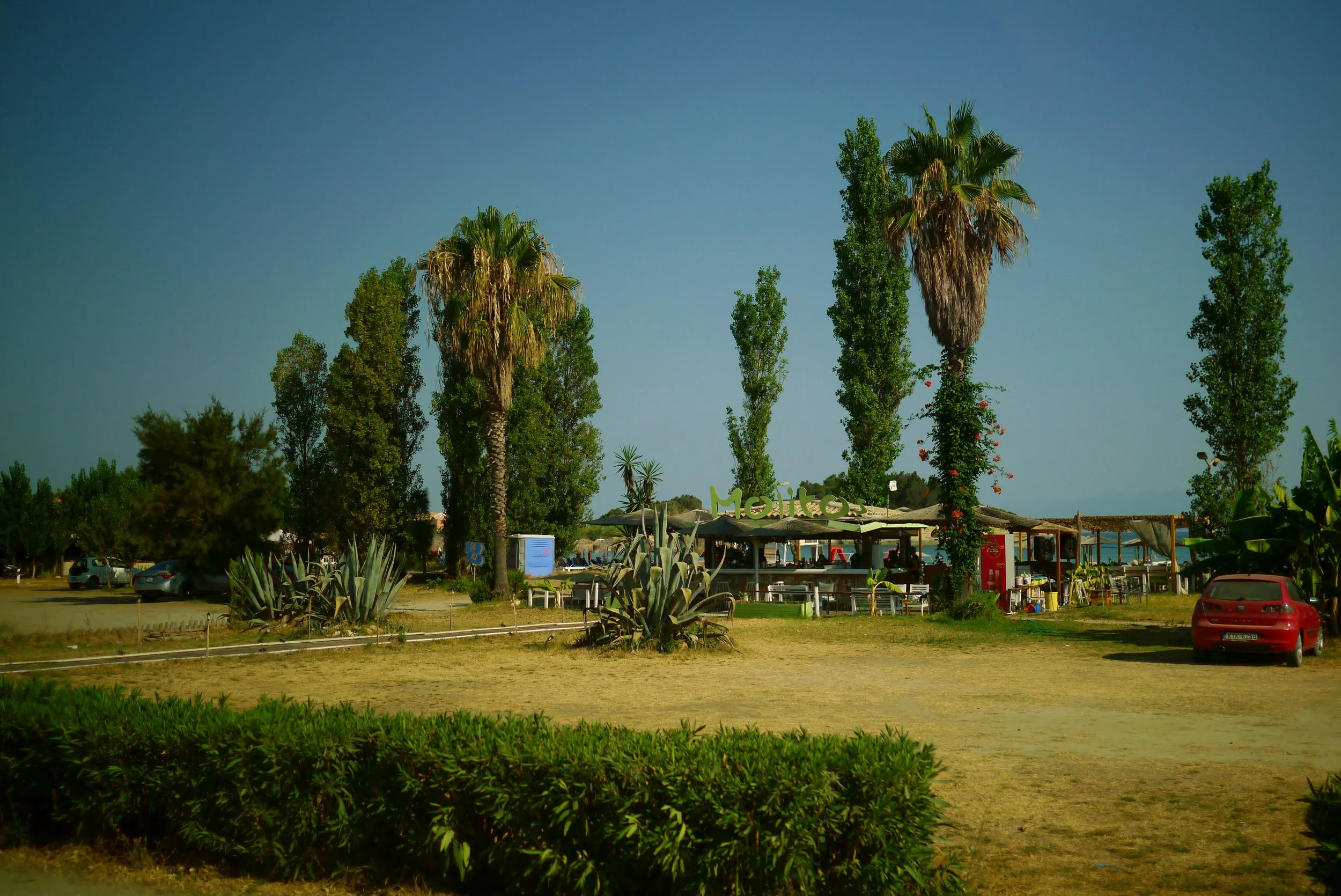 137.jpg