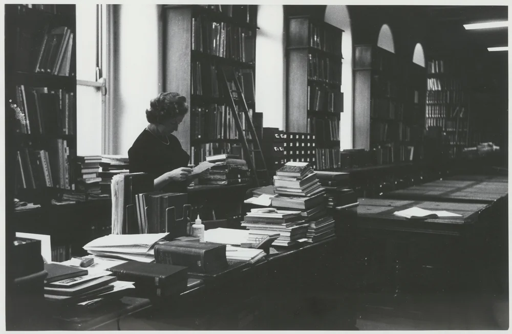 Members' Current Work