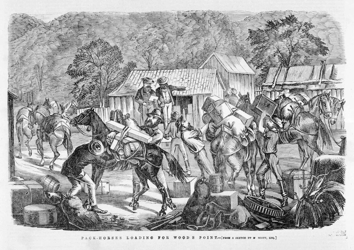 Image 3.jpg