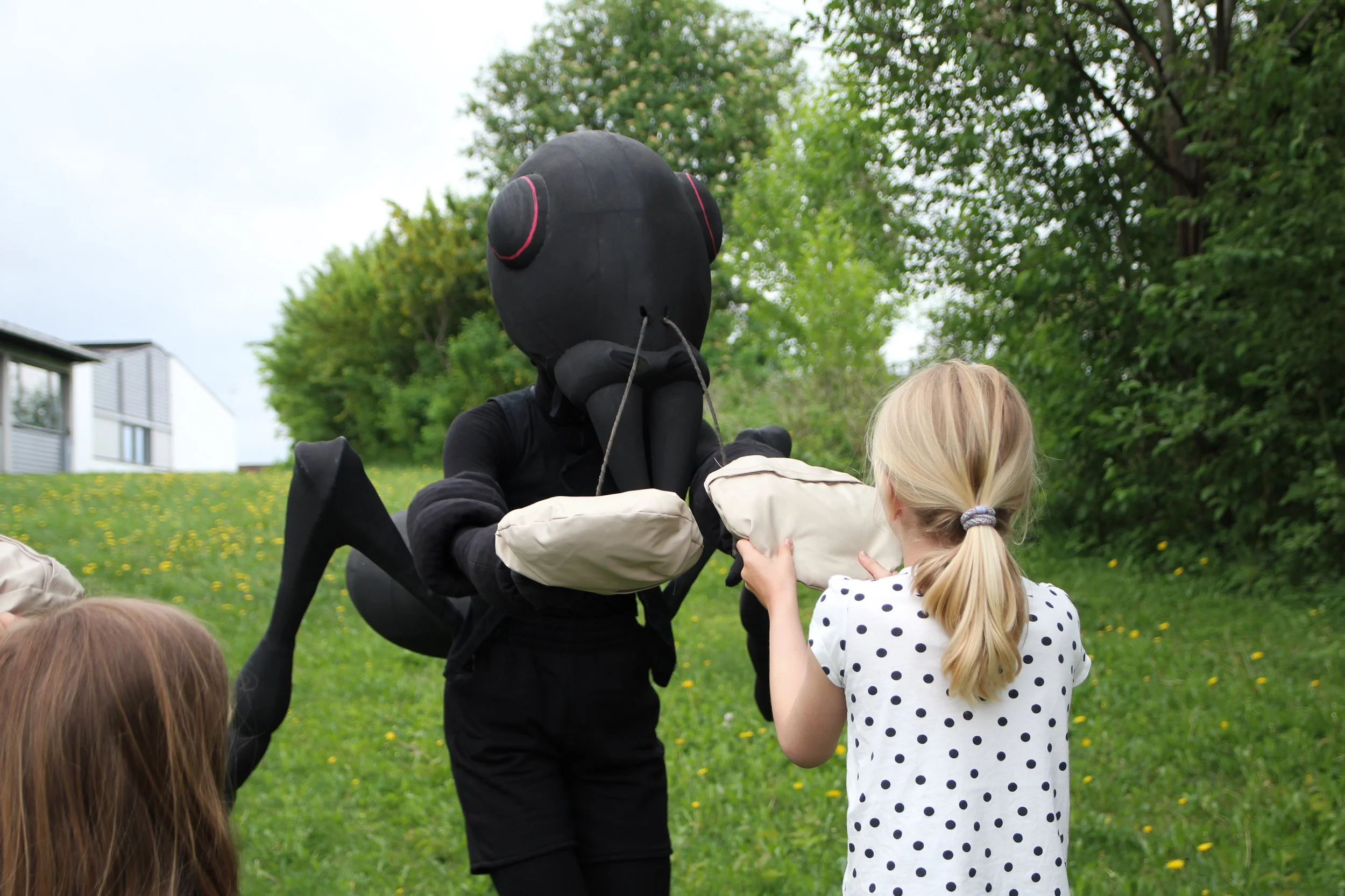 Maur  hoved - Ida M. Halvorsern-1.jpg