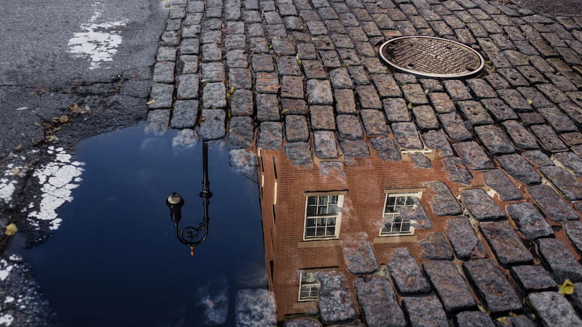 Chelsea Reflection