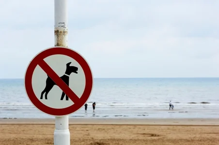 Not the beach we were on!
