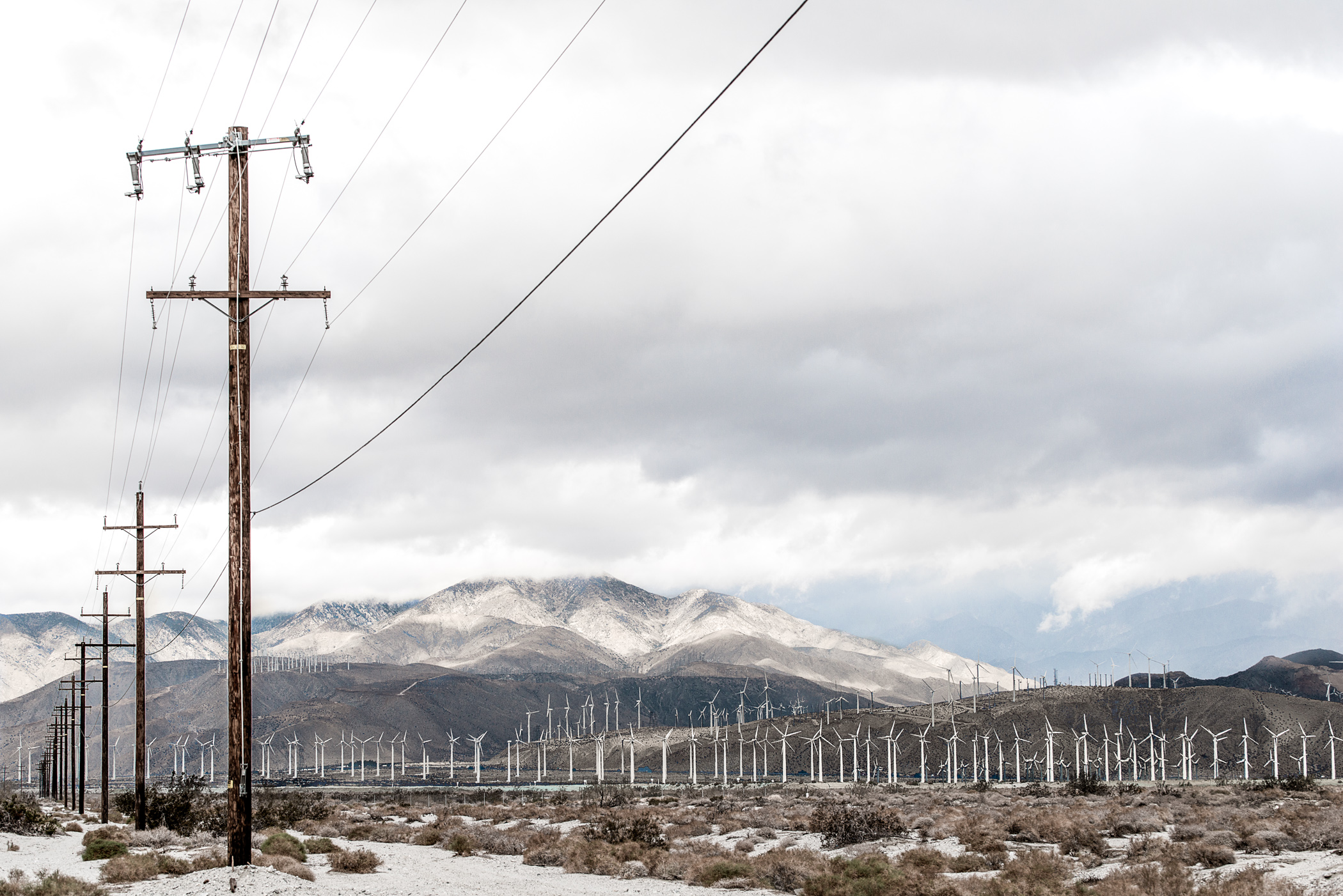 Power Lines