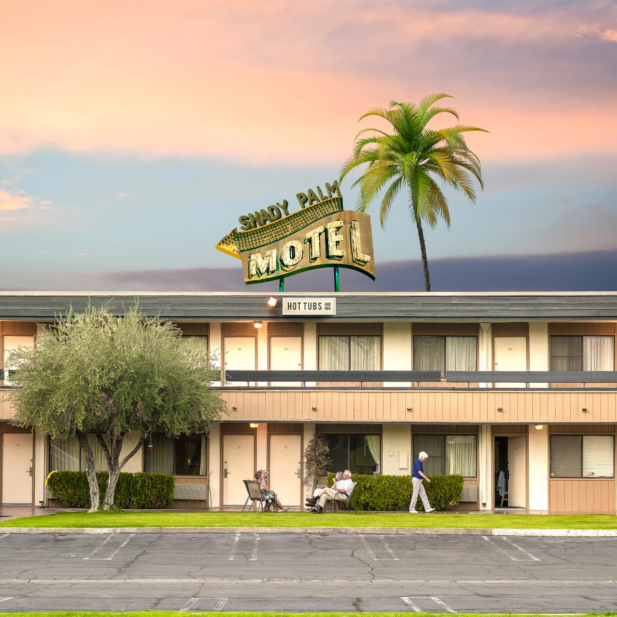 The Shady Palm