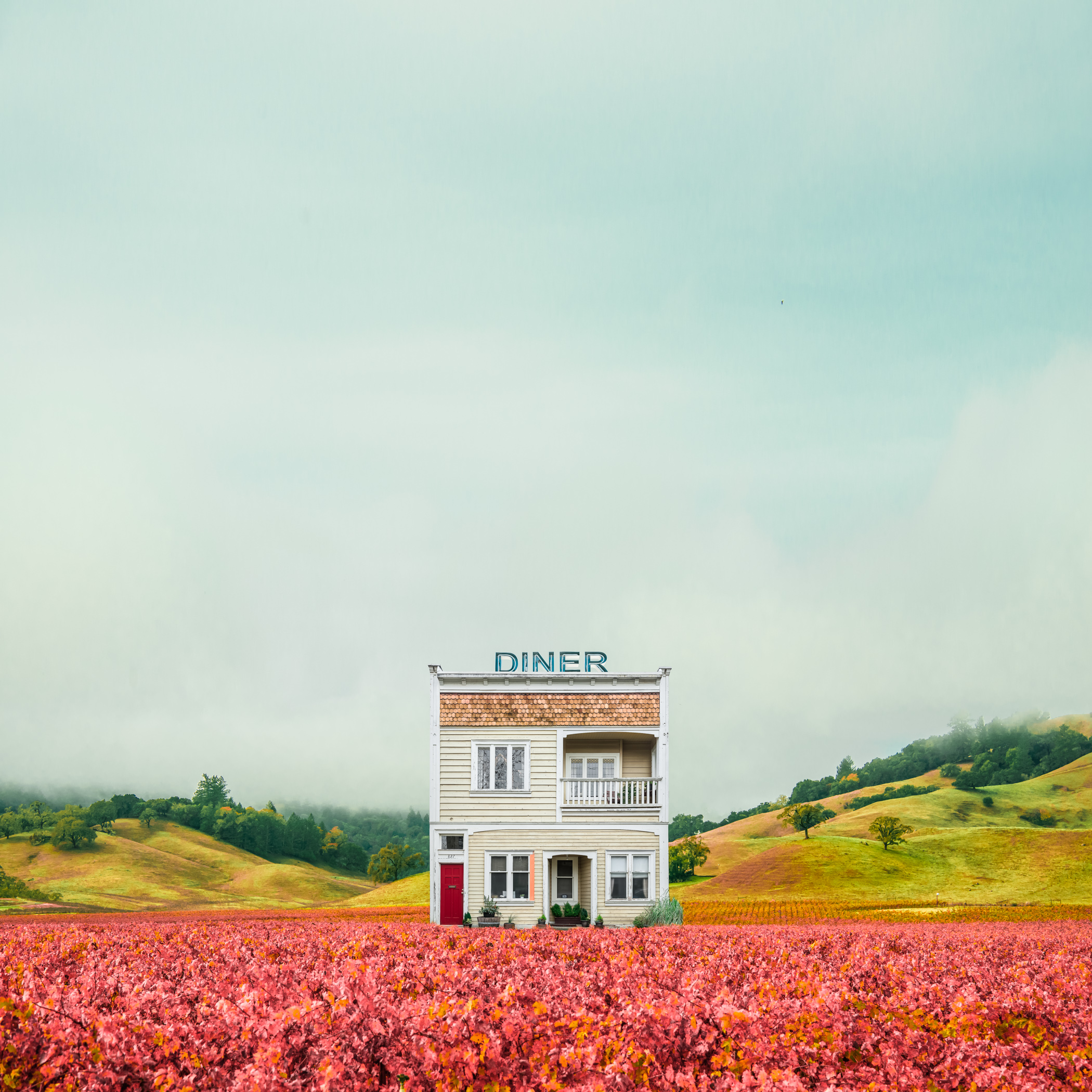 Napa Valley Diner