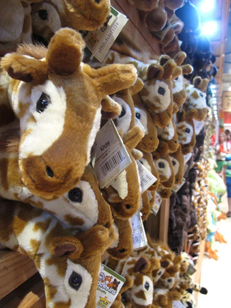 We’re gonna need a bigger ark.