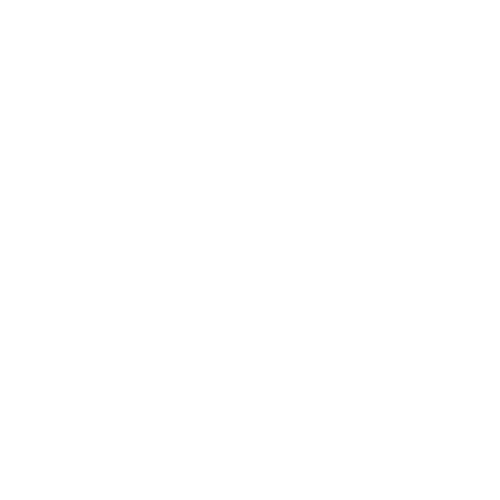 image-asset.png