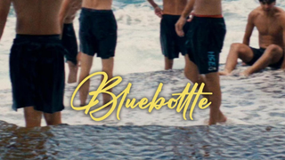 Bluebottle