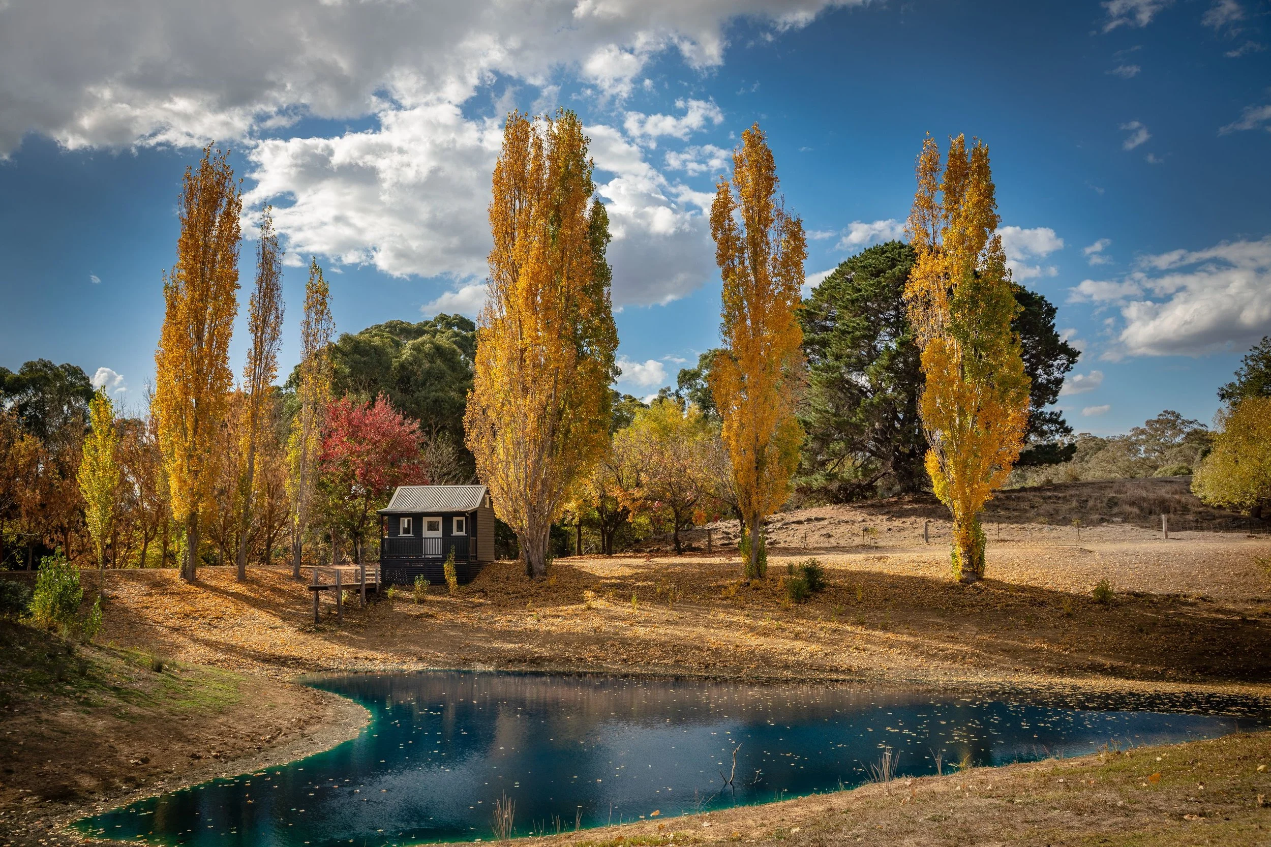 EXTRAS BASED IN DAYLESFORD VIC (&amp; SURROUNDS)  - TOURISM TVC