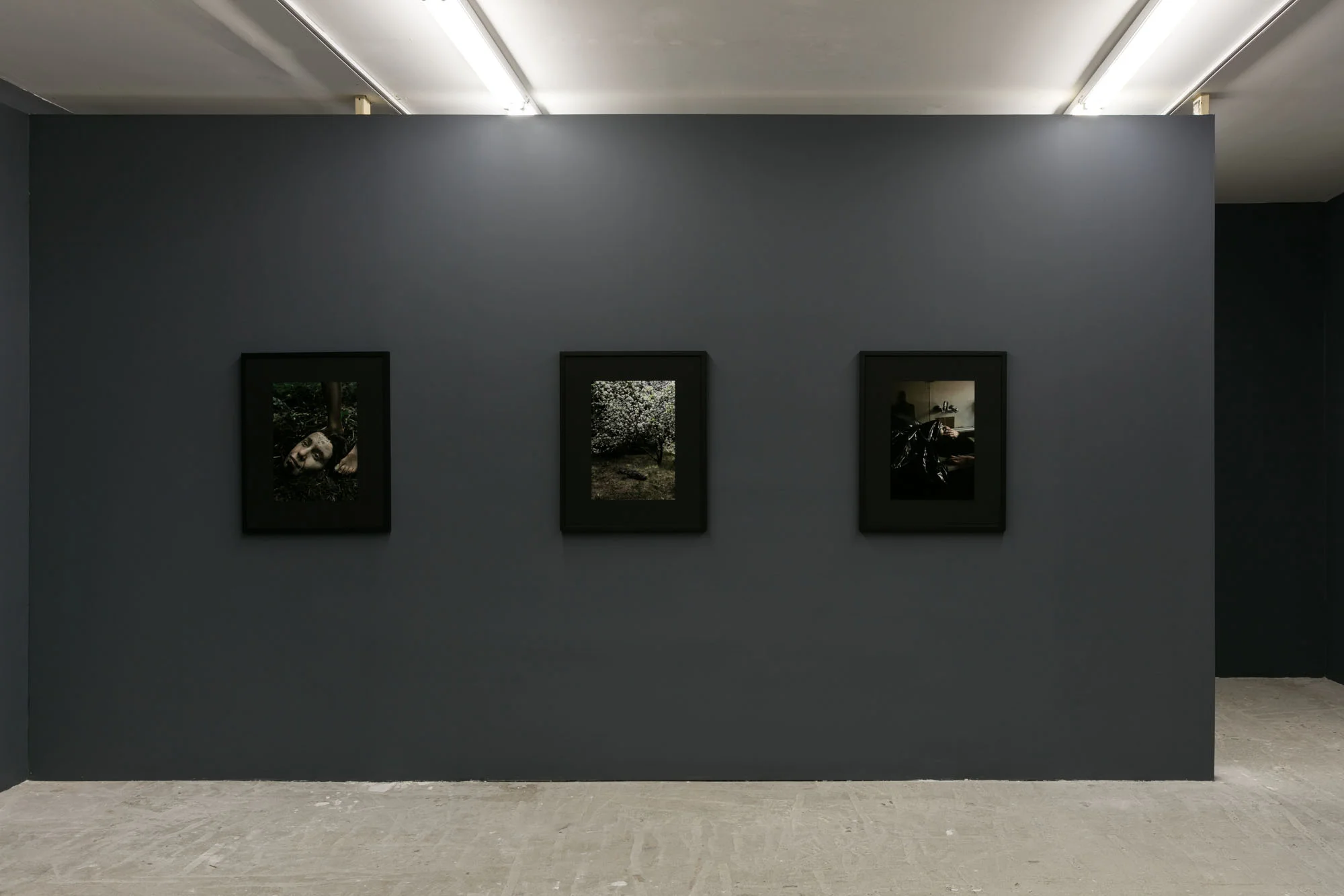 Aneta Grzeszykowska, Mama, Installation view at Lyles & King, October 14 - November 18, 2018