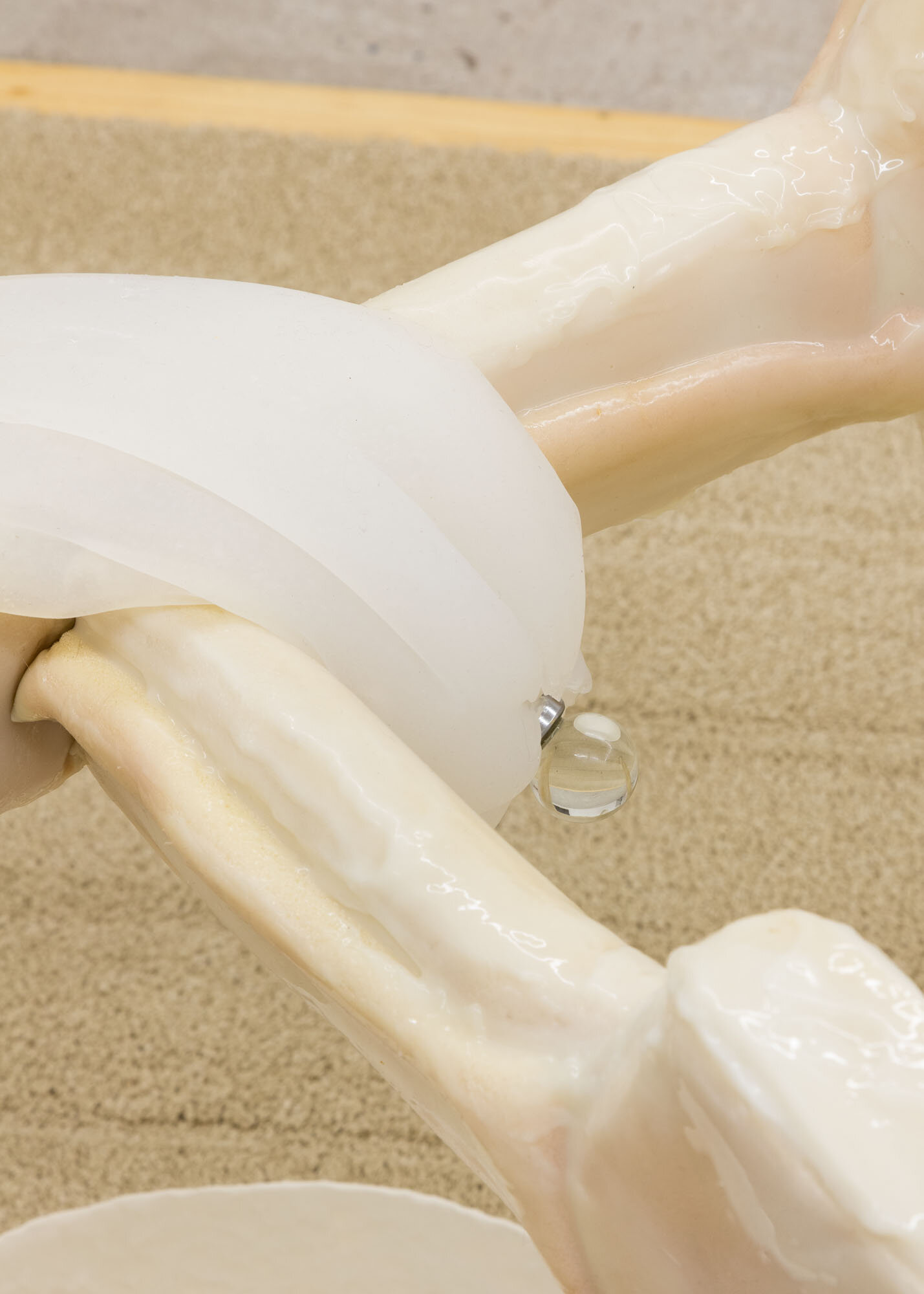 From the Personal Growth Lab (The Eye and the Beholder) , 2019 (detail view)