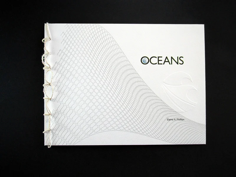front cover design of oceans,&nbsp;by Elaine Phillips