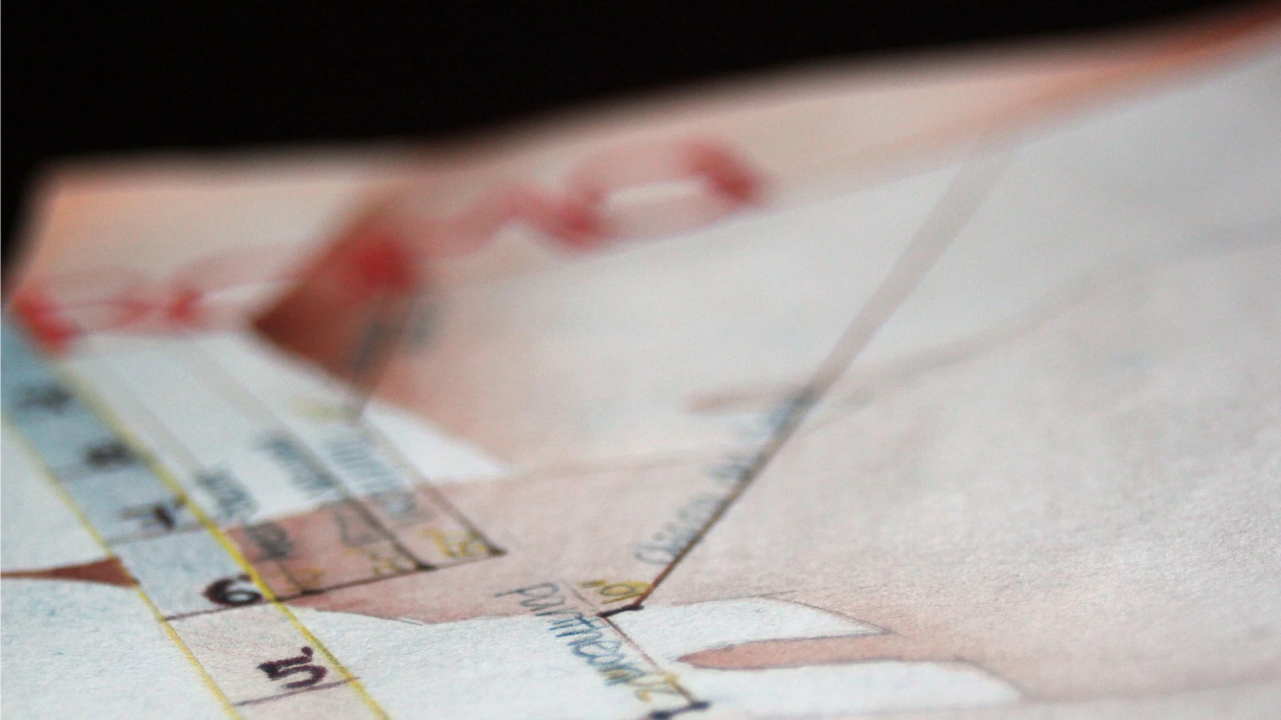 detail of Rome map by Sharon Peng