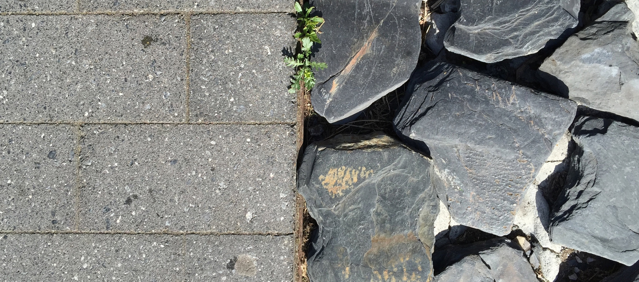 If variety can be the spice of life, could it maybe be the spice of design education?