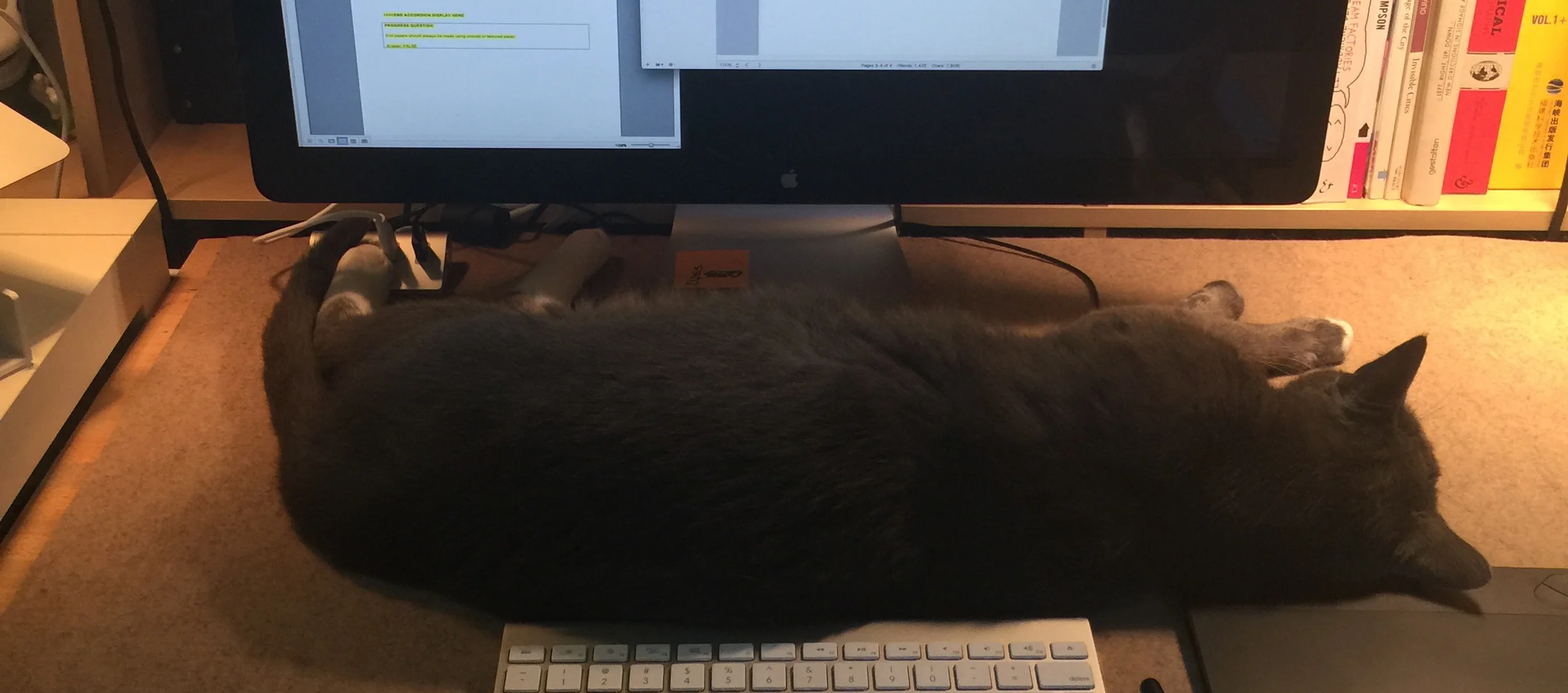 The late-night online learning cohort.