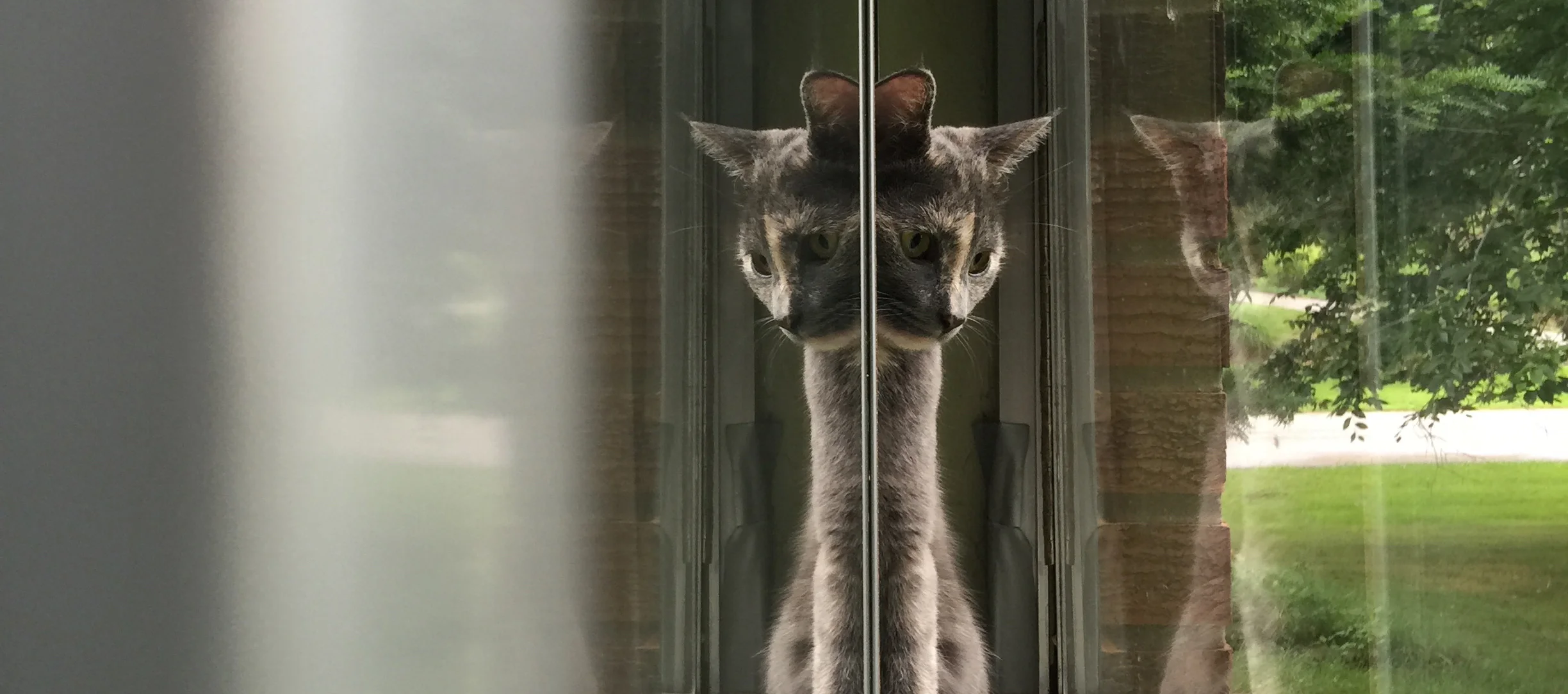 The line between physical and virtual is not as soft as we'd like it to be