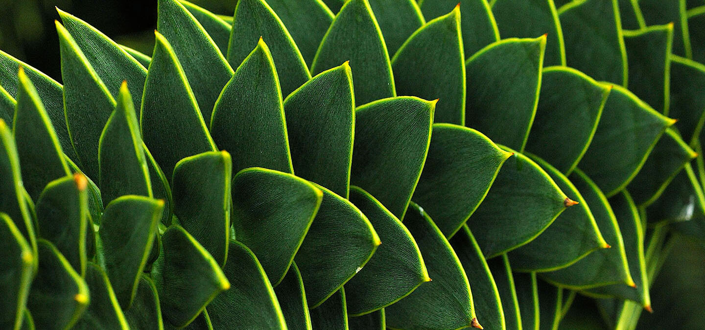 Original photo by Natural Visions/Alamy Stock Photo