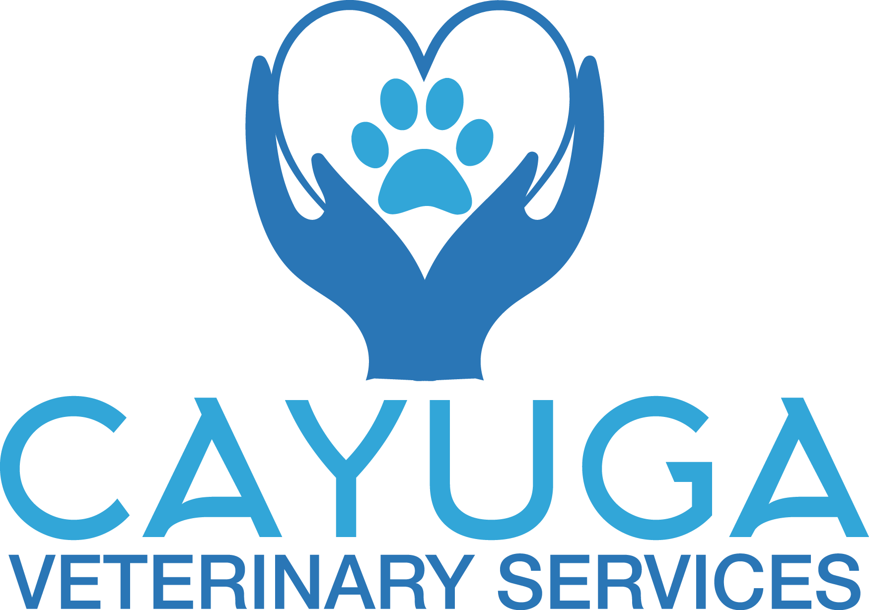 belly bands for male dogs