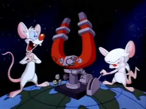 Pinky and the Brain © Warner Bros.