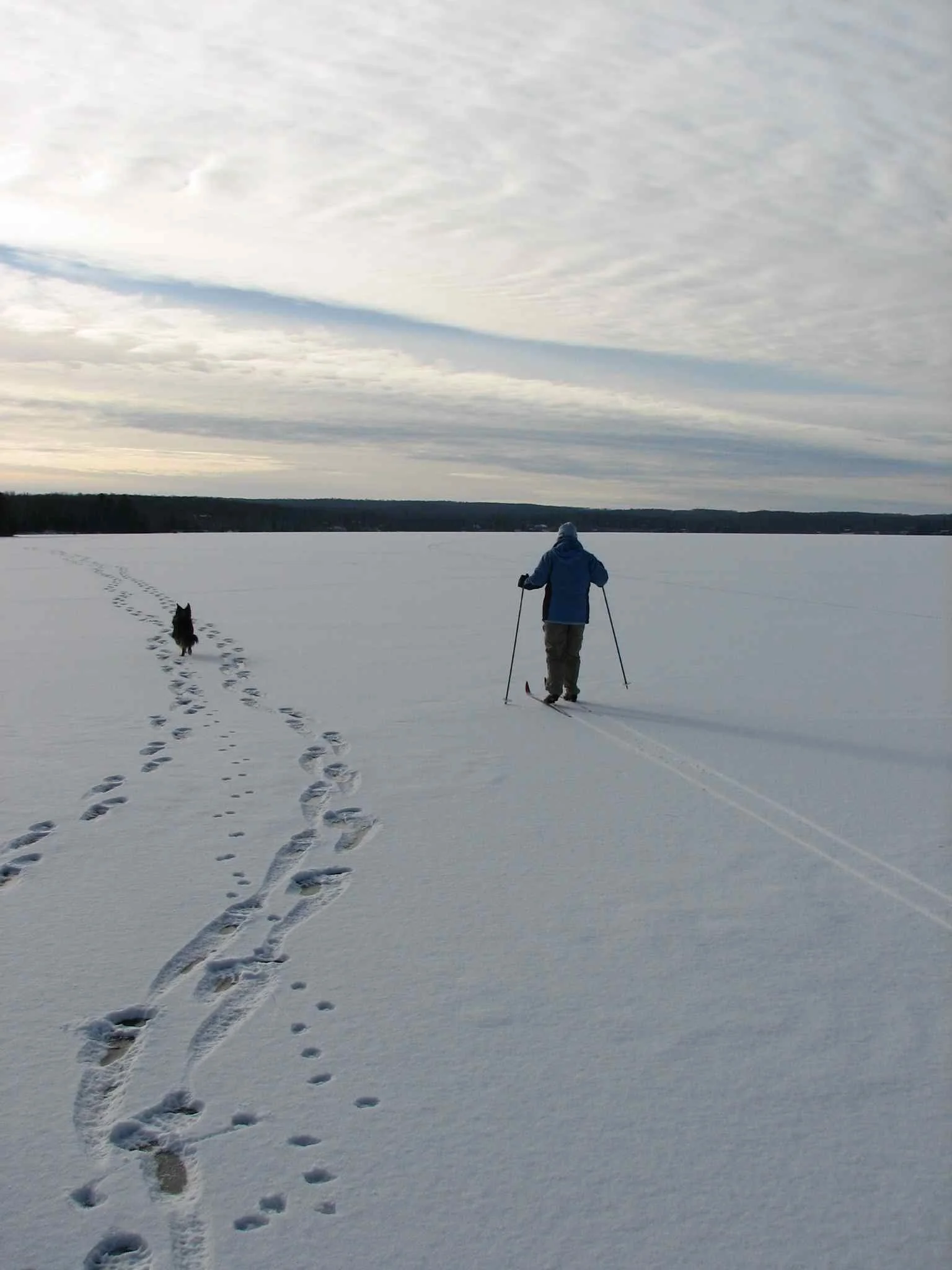 crosscountryskiing.jpg