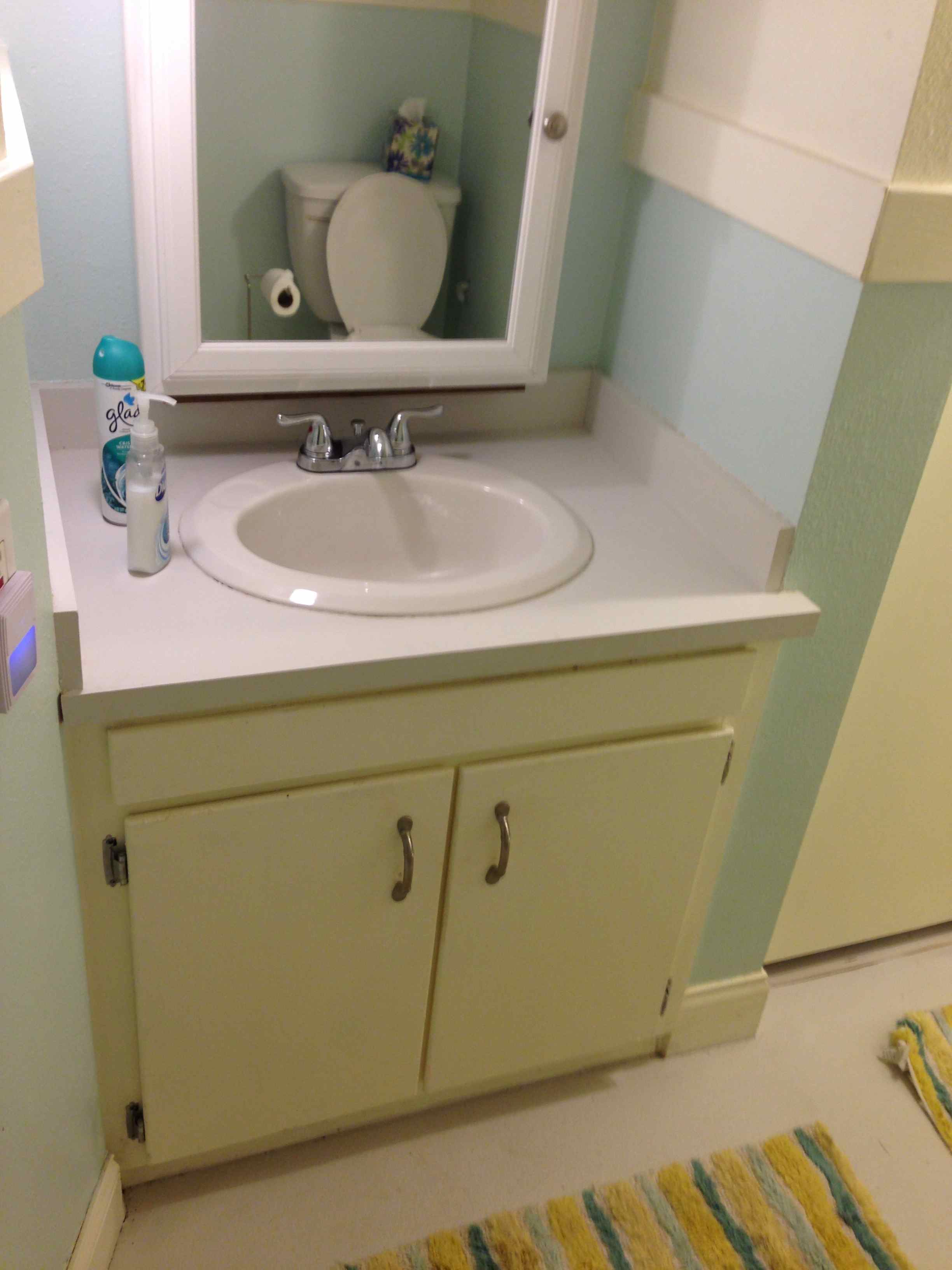 Another view of the little house bathroom.