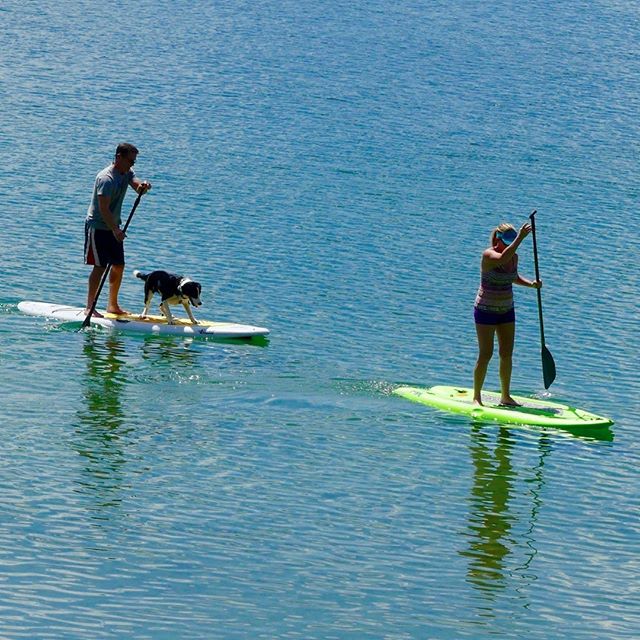 #paddleboarding at #sugarcrest