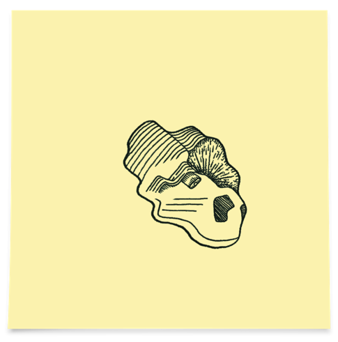 Screen Shot 2017-01-10 at 03.20.22.png