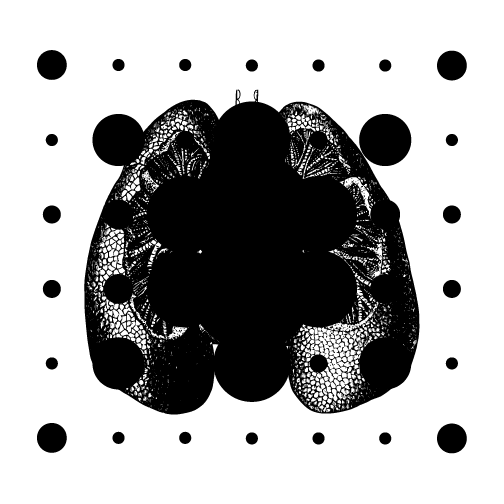 146e0513506831.56274ad7a052d.gif