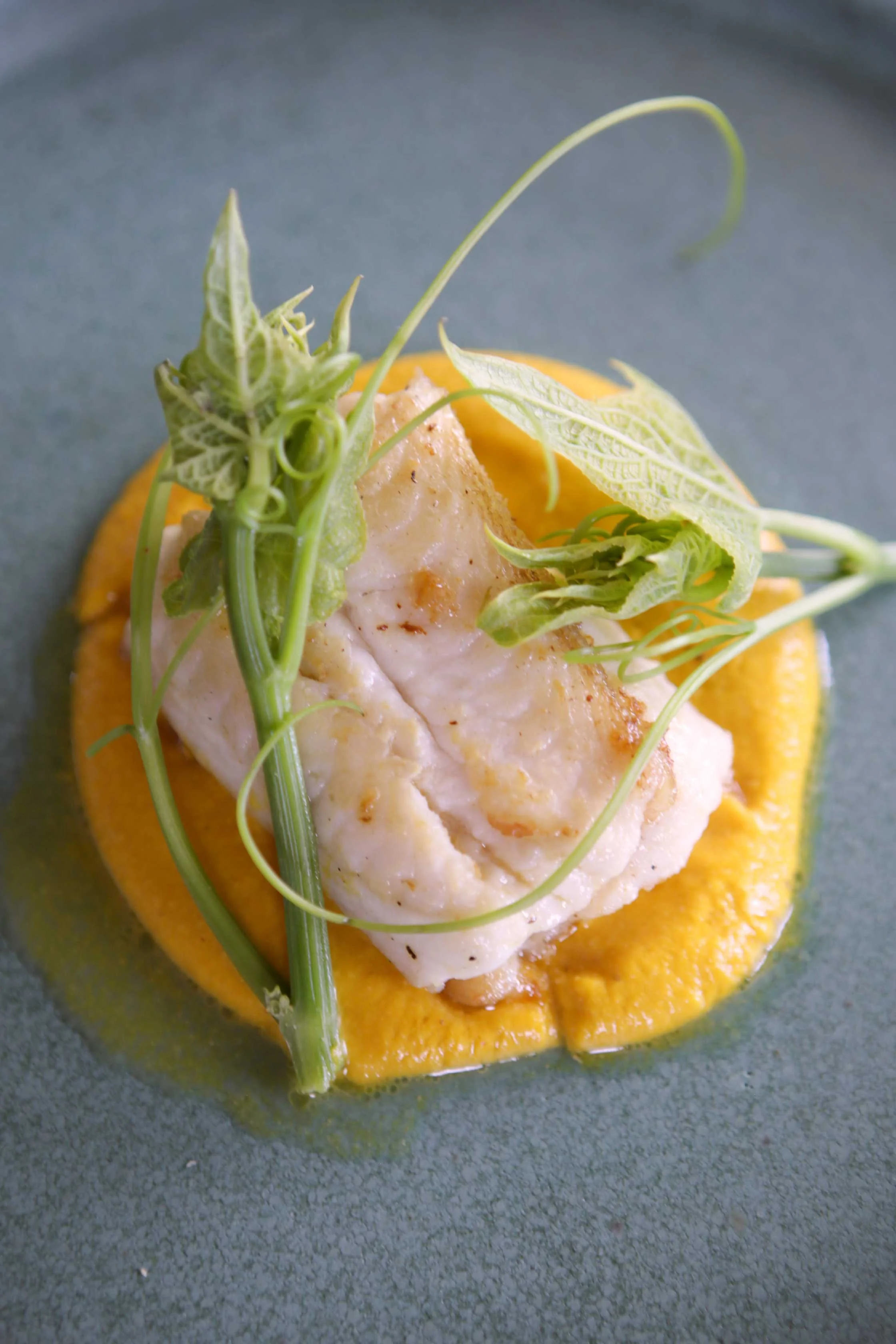 Plato fuerte: Pesca del día. salsa macha de ayote y maní, quelites de chayote. 