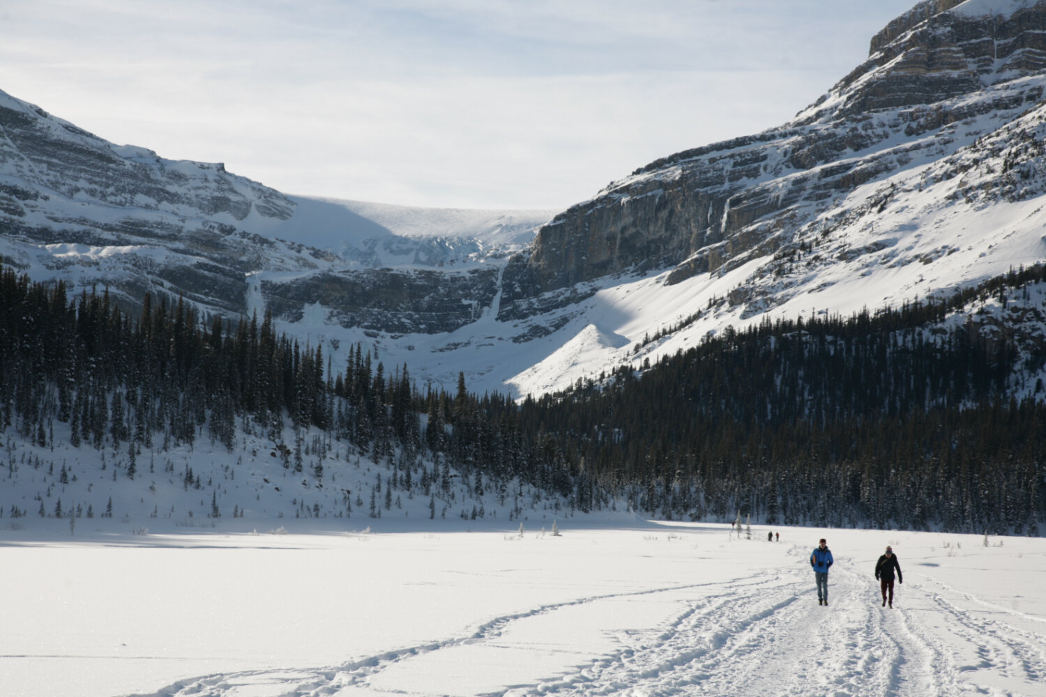  DE Lab artists and lead artists Sans façon visit the Bow Glacier. 