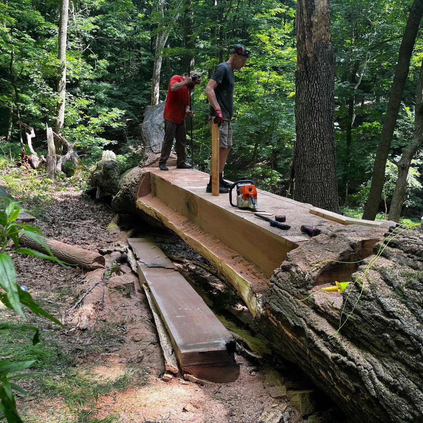 Subtractive sculpting in Riverview Park with @pittsburghurbantree. The first component of Pictures of the Future, a multipart collaborative project with @stevegurysh and commissioned by @planpgh is starting on site this week.

More updates to follow,