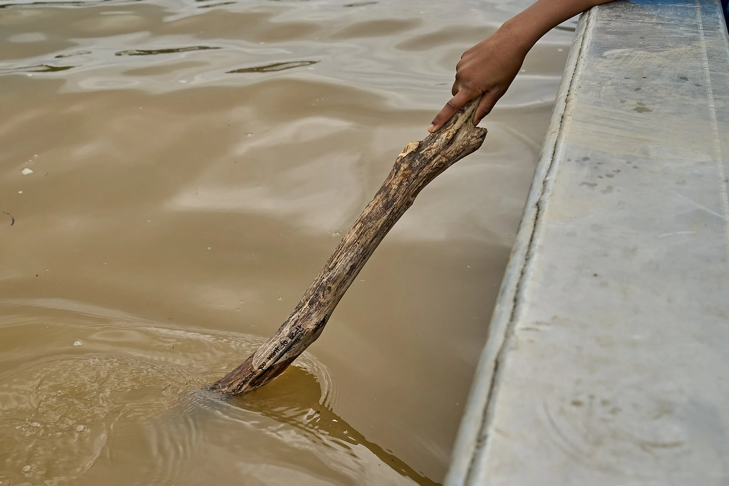  photo by James F Carr 