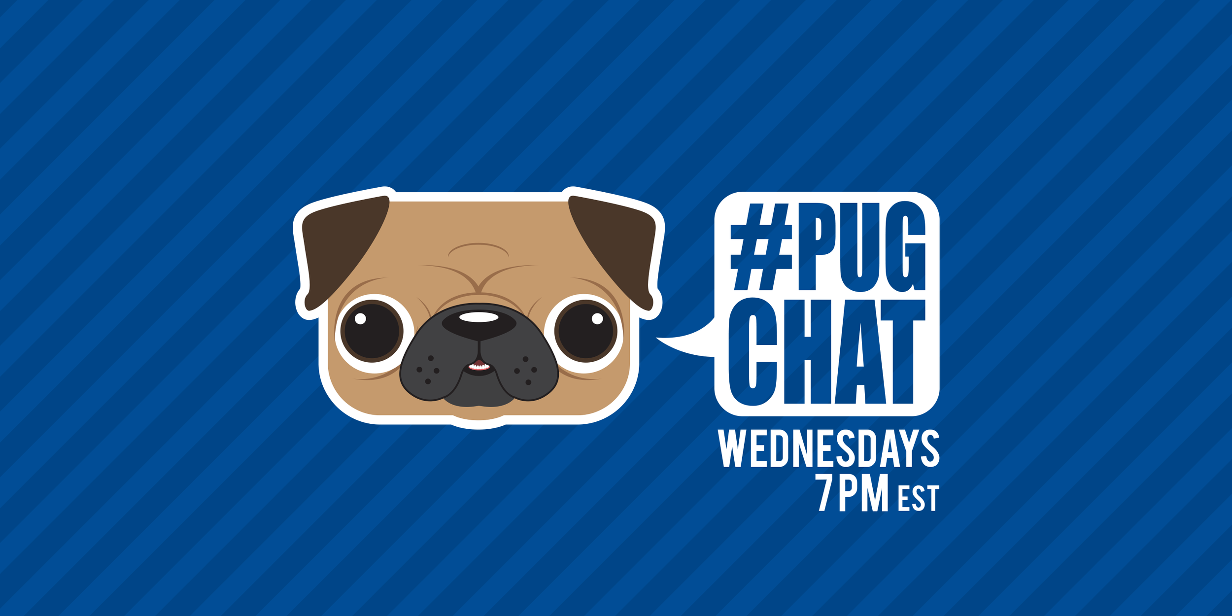 Pugchat_website.png
