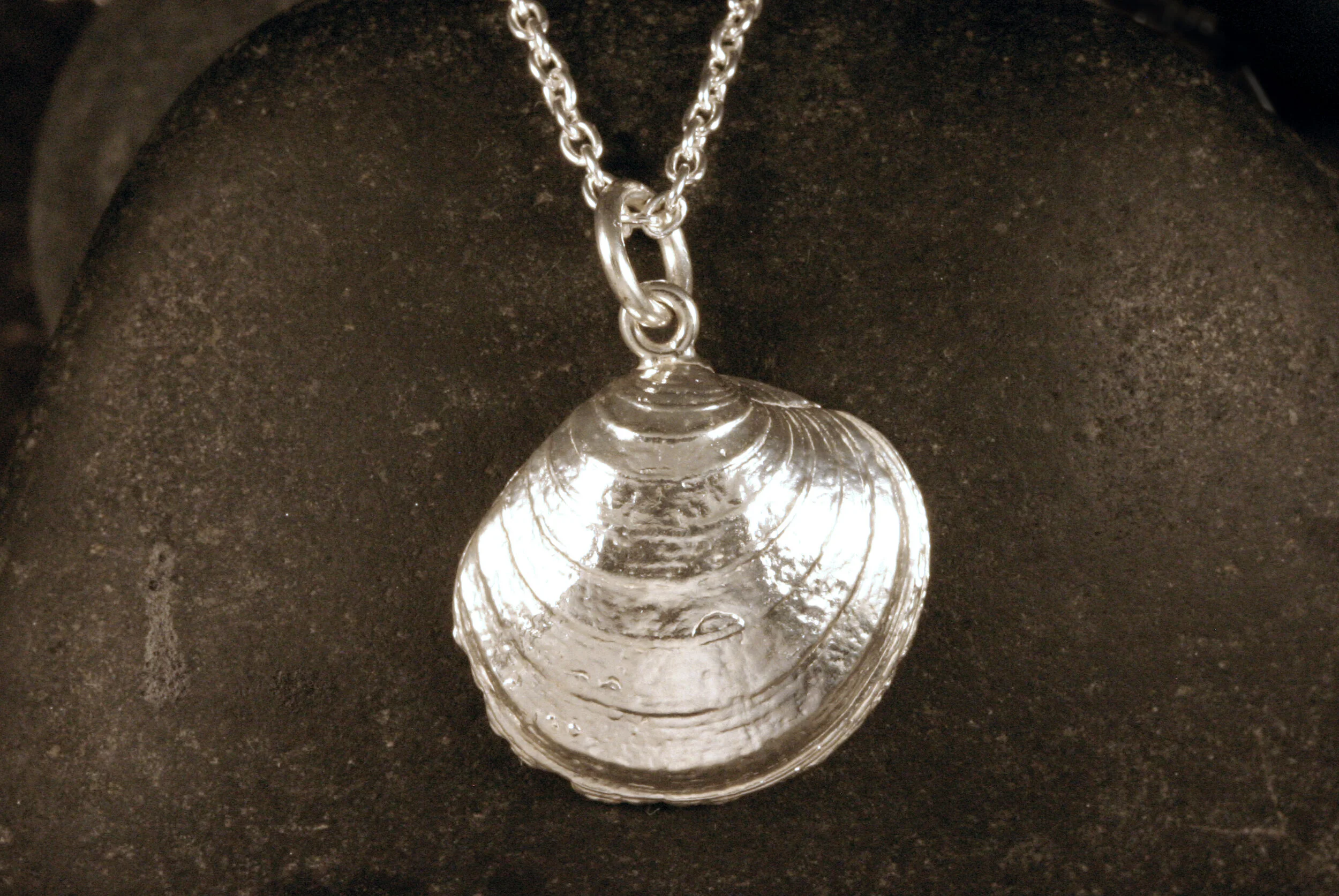 Large shiny sterling silver quahog clam seashell charm