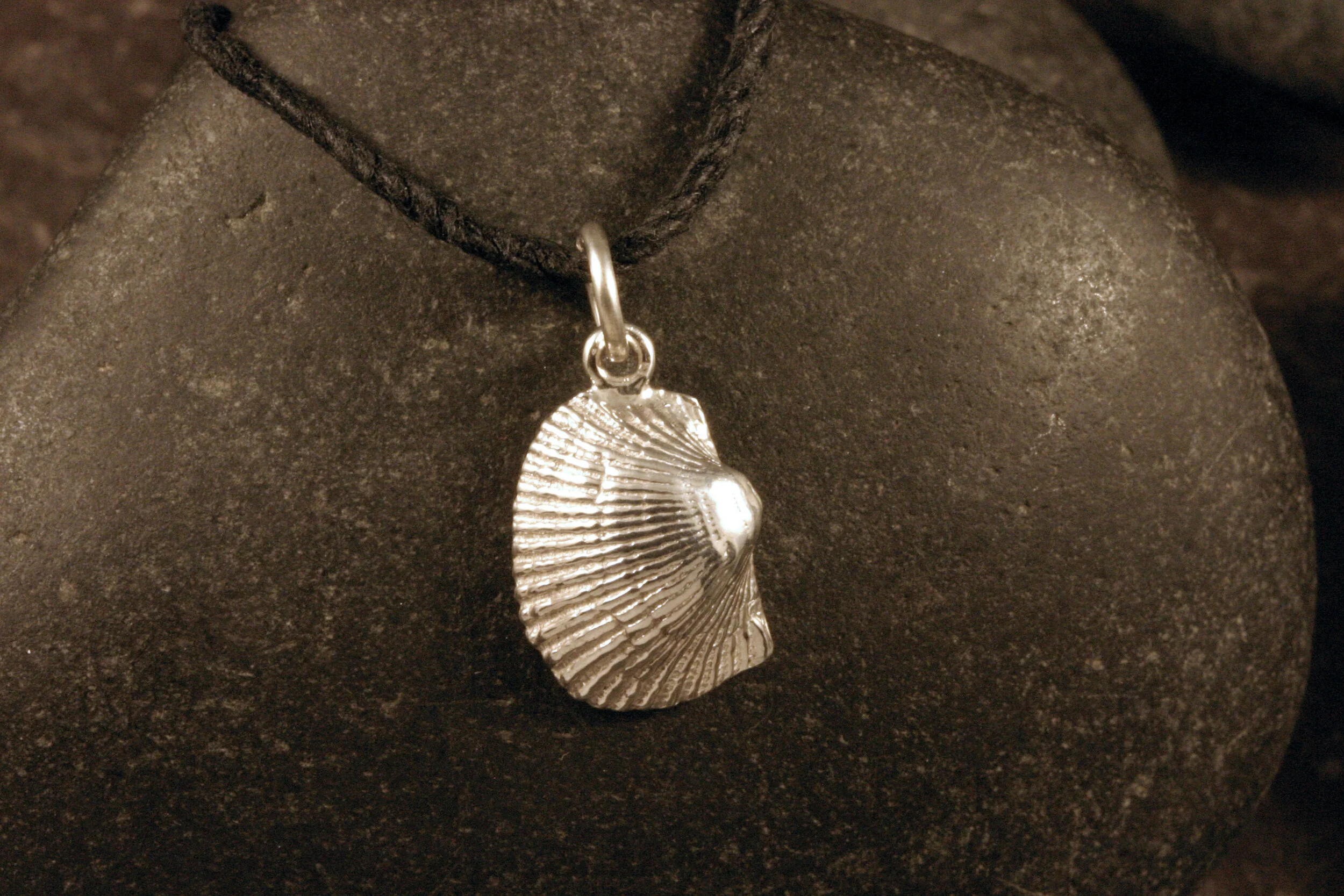 A shiny sterling silver ark clam seashell charm.