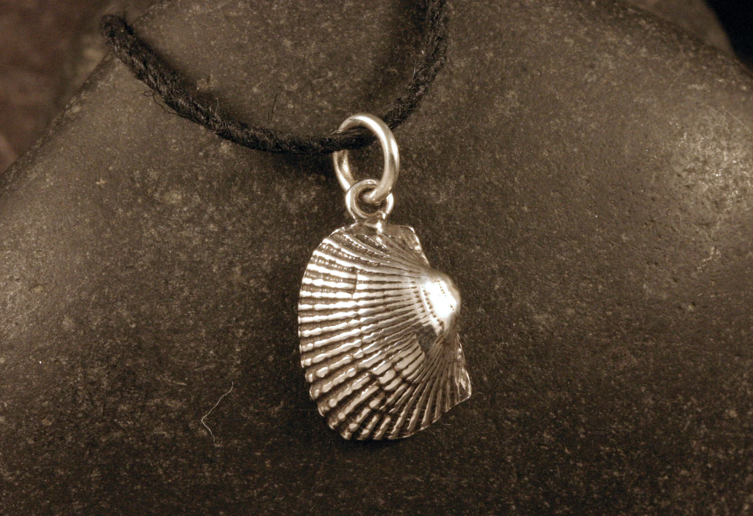 An oxidized sterling silver ark clam seashell charm.