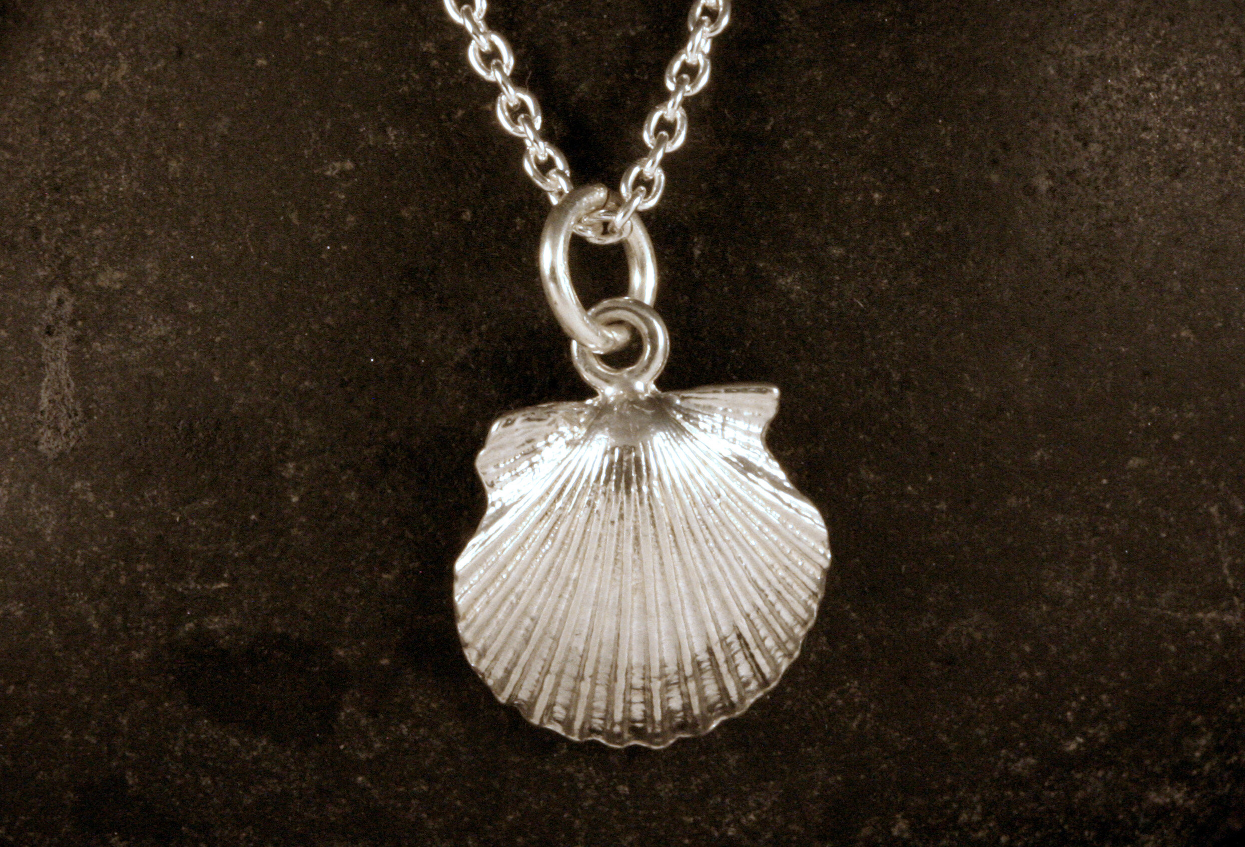 Small shiny sterling silver scallop seashell charm on cable chain