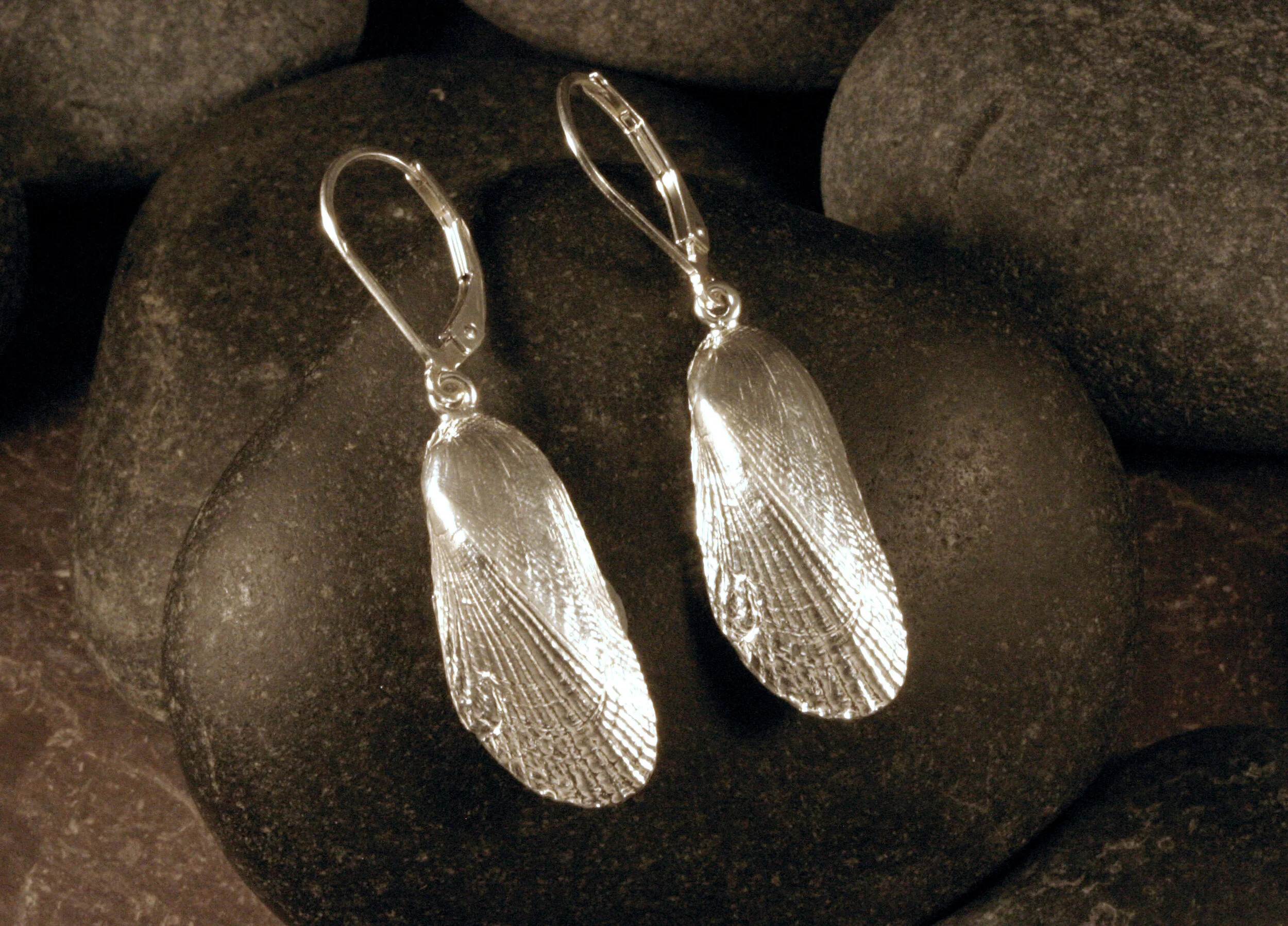 Sterling silver mussel seashell dangle earrings on a rock.