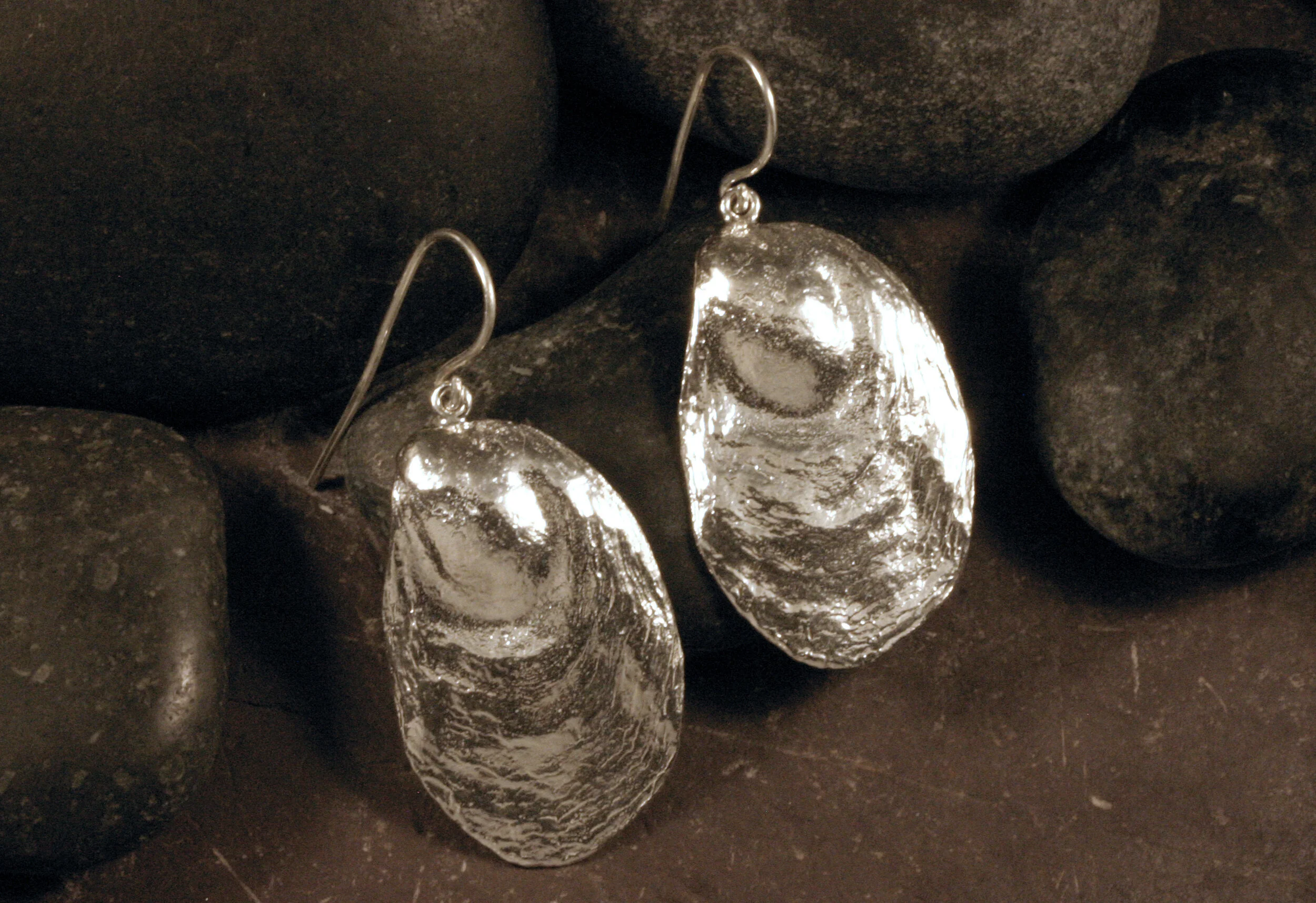 Sterling silver Brewster oyster seashell dangle earrings with french hooks