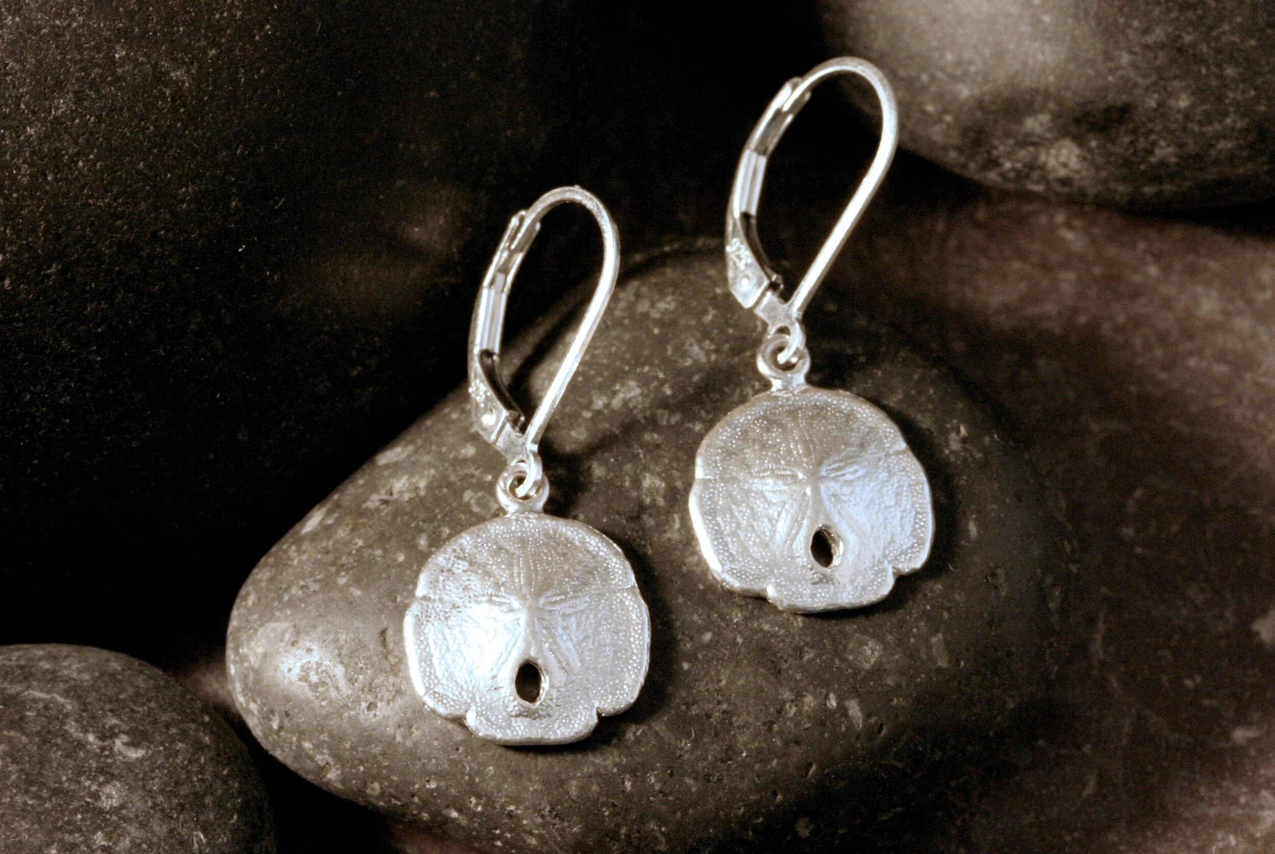 Small shiny sterling silver sanddollar dangle earrings.