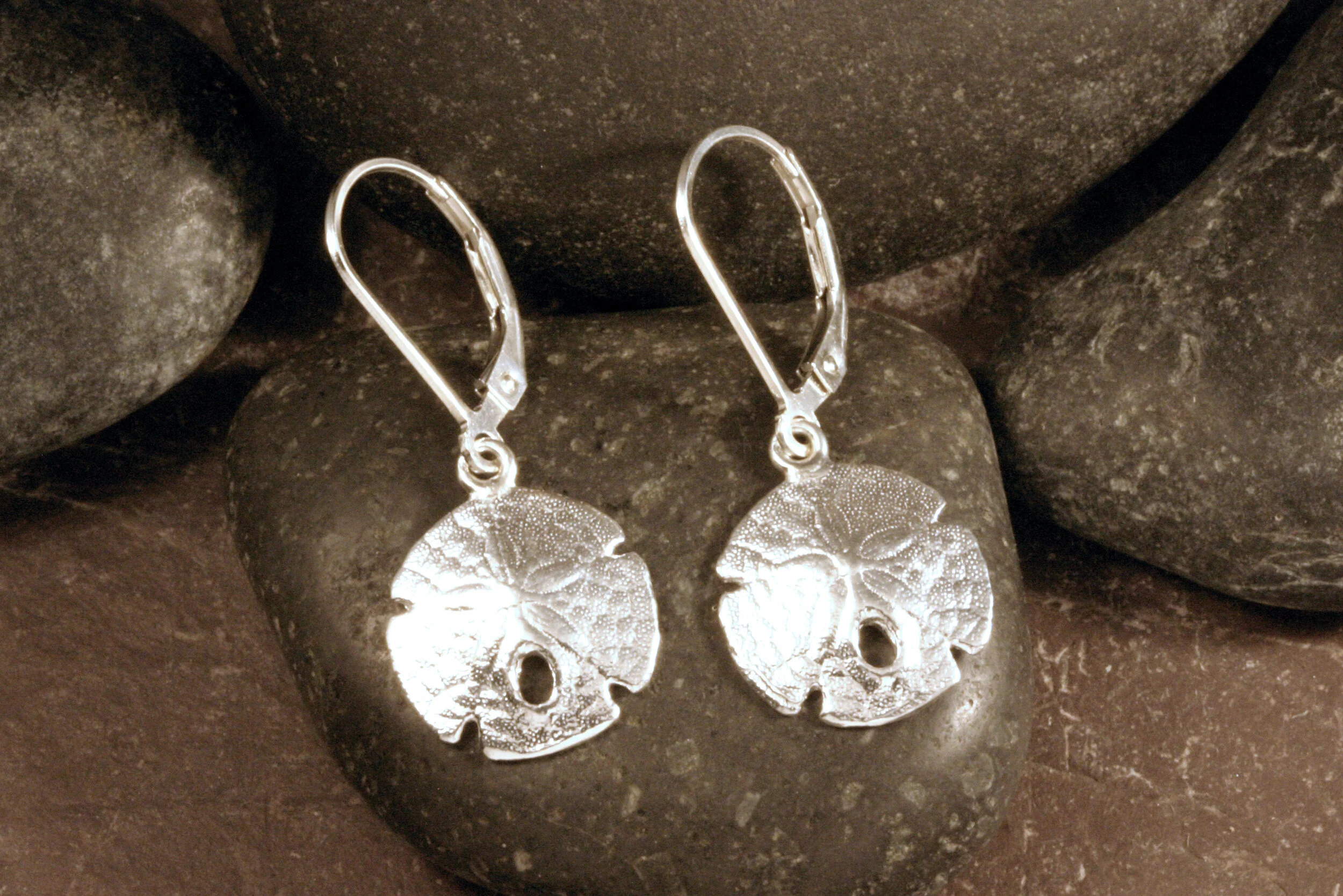 Medium shiny sterling silver sanddollar dangle earrings