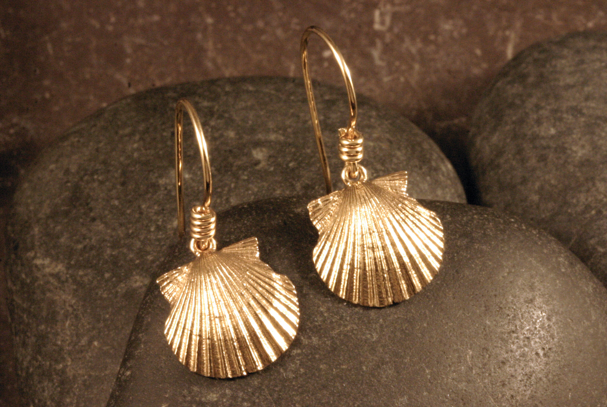sea shell dangle earrings