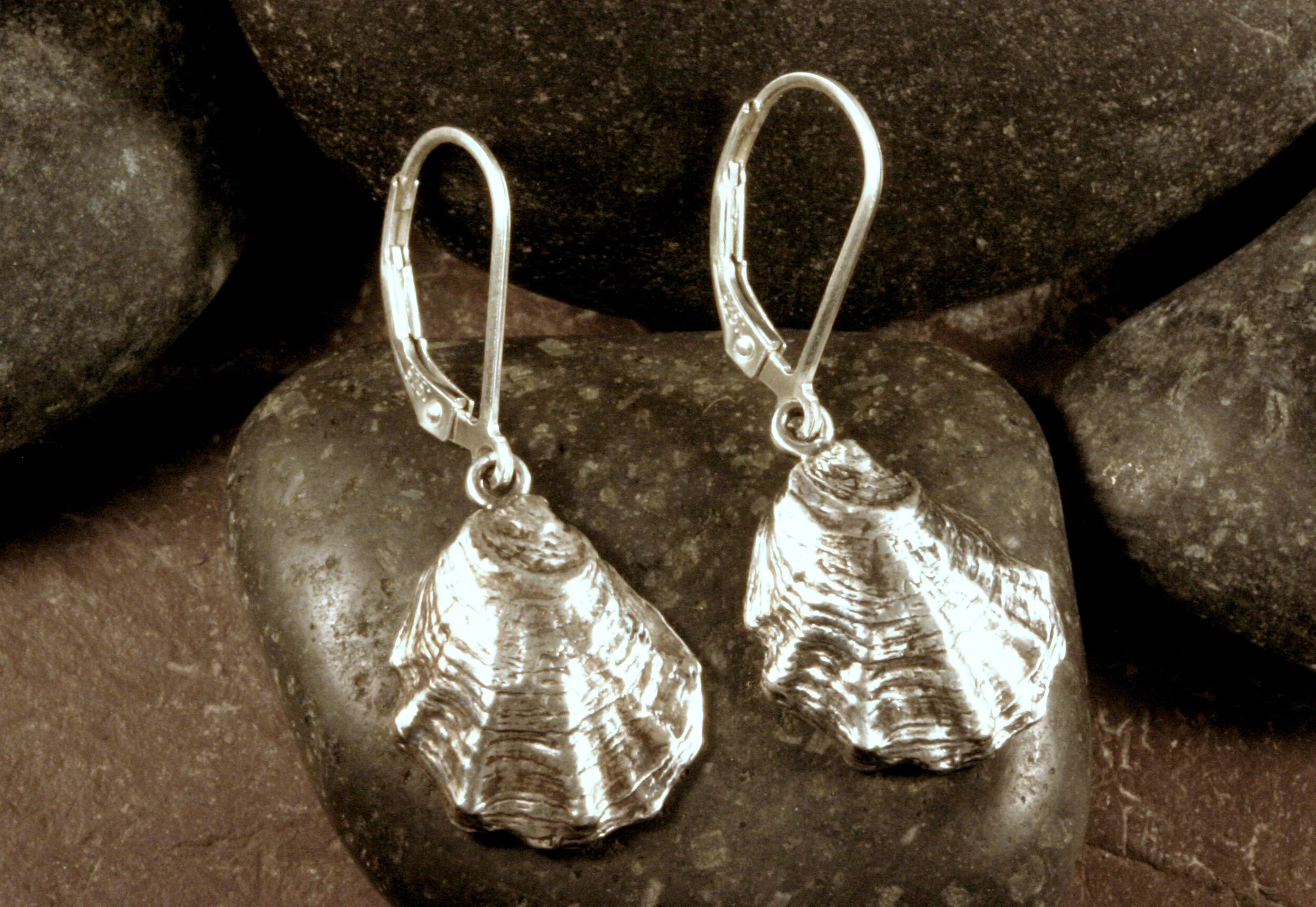 Small oxidized sterling silver Wellfleet oyster seashell dangle earrings on a rock.