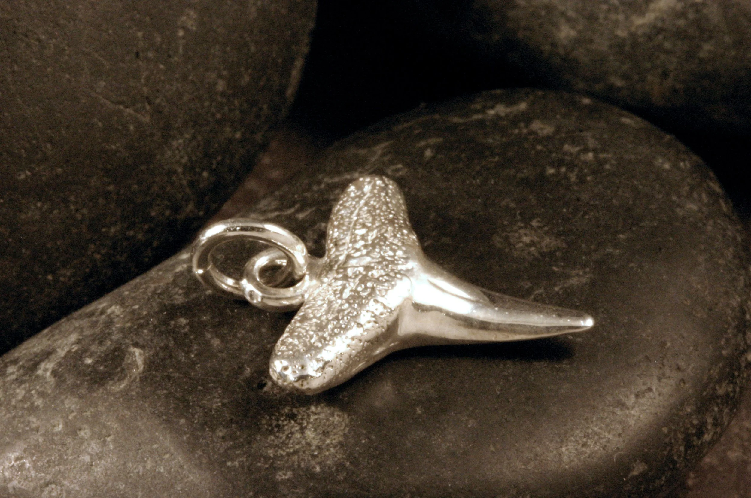 A side view of a sterling silver shark tooth charm.